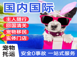齐齐哈尔三家子机场快递国际宠物托运 【国